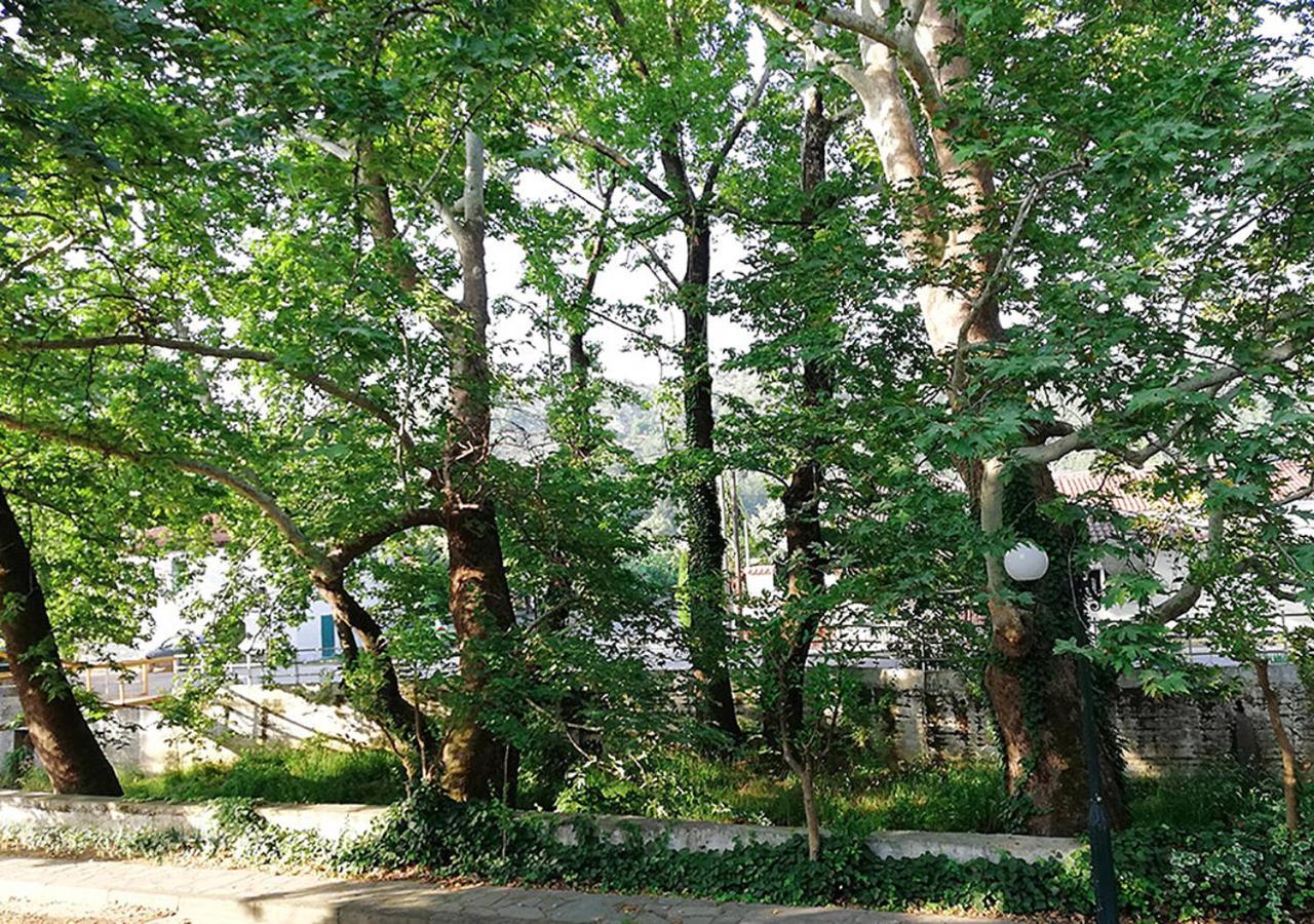 "The Plane Trees" Villa Polikarpi Екстериор снимка