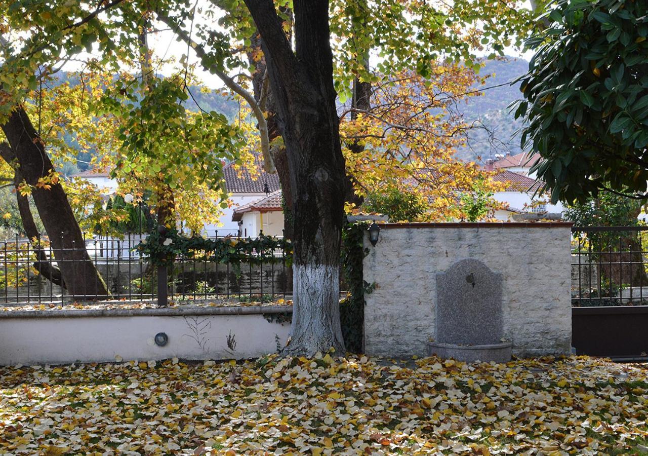 "The Plane Trees" Villa Polikarpi Екстериор снимка