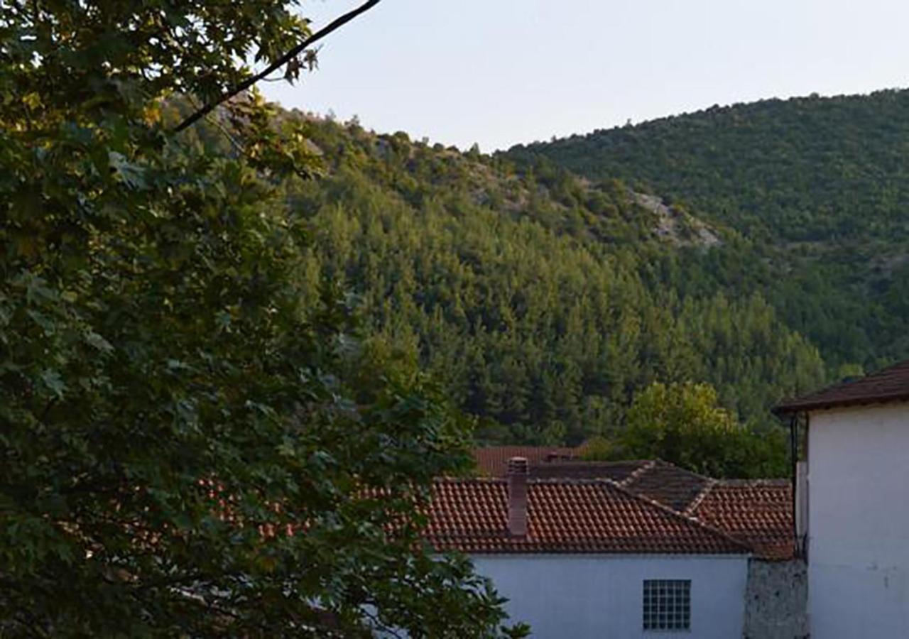 "The Plane Trees" Villa Polikarpi Екстериор снимка