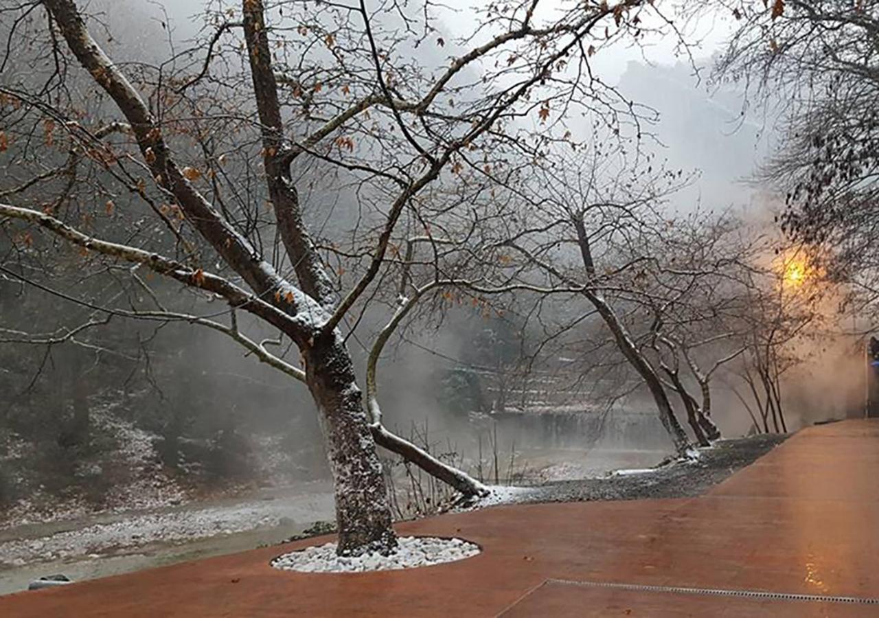 "The Plane Trees" Villa Polikarpi Екстериор снимка