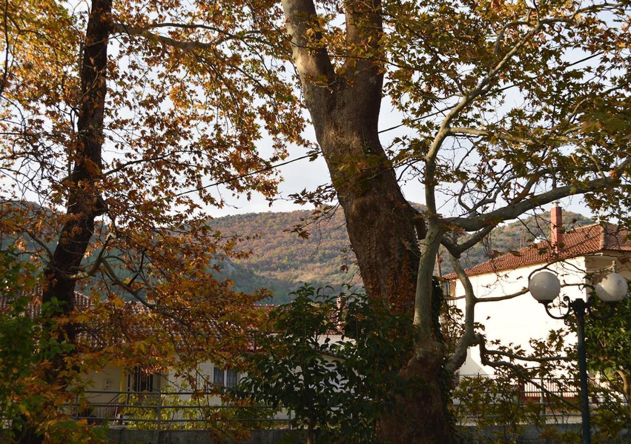 "The Plane Trees" Villa Polikarpi Екстериор снимка